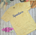 Custom Mascot Spirit Shirt  - Shadowed Script Mascot School Shirt