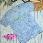 Custom Mascot Spirit Shirt  - Shadowed Script Mascot School Shirt