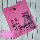 It Is What It Is...and It's Not Great - Funny Shirt available in 12 Colors