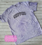 Embroidered Mascot Spirit Shirt - Curved Varsity Font Mascot T-shirt or Sweatshirt