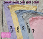 Embroidered Mascot Spirit Shirt - Curved Varsity Font Mascot T-shirt or Sweatshirt